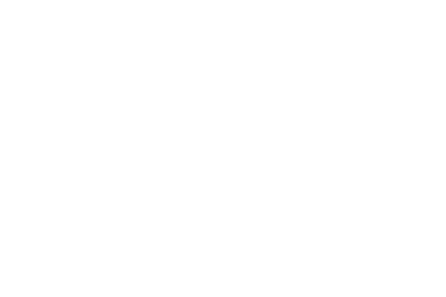 Taiwha Group Ltd full logo